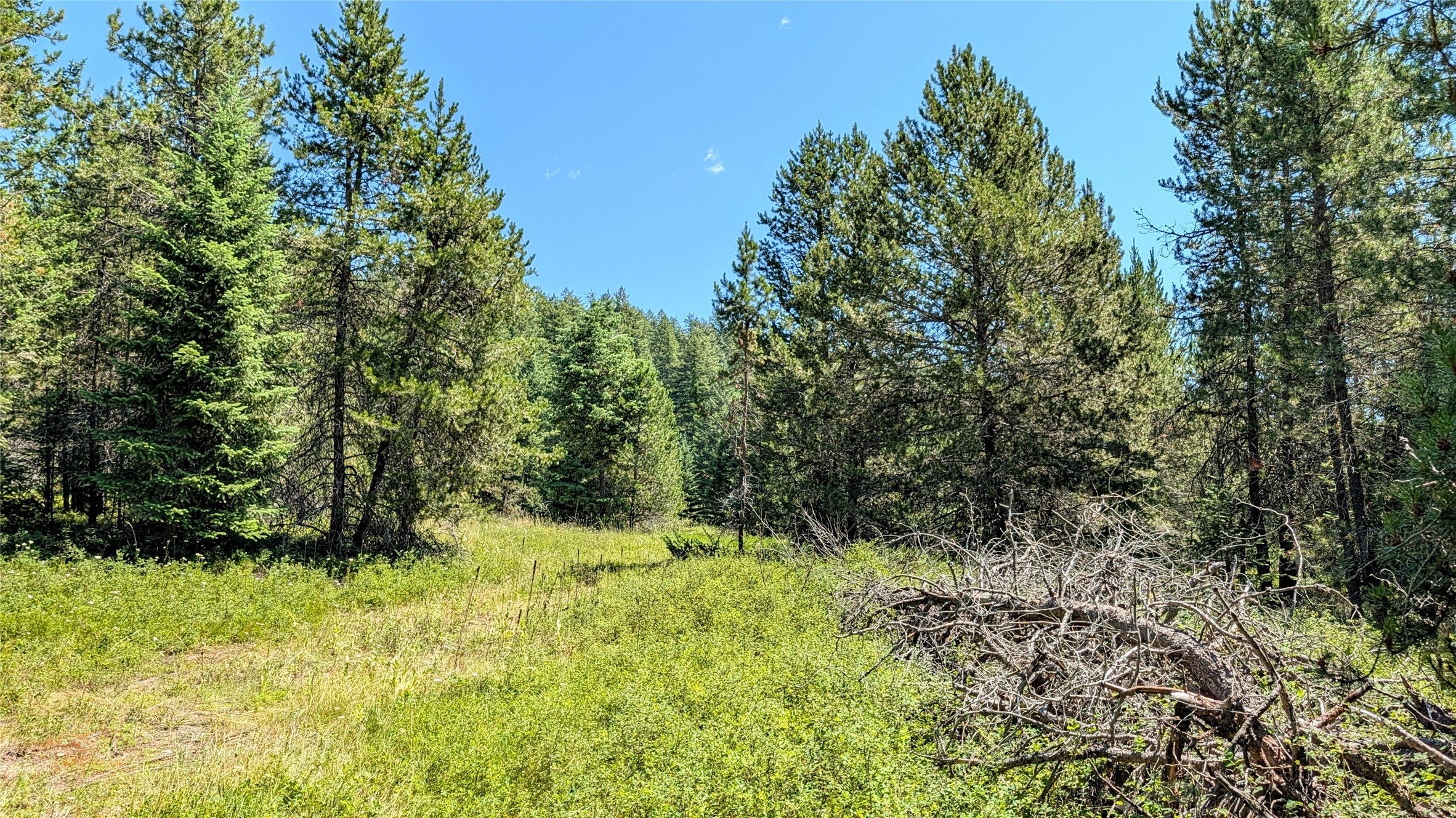 80 Wagon Wheel Road Whitefish, MT 59937 - Photo 26 of 33 Gallery Image 26