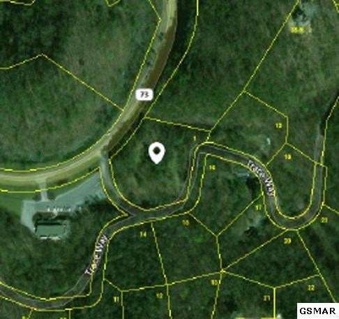1 Wears Valley Road Sevierville, TN 37862 - Photo 6 of 6