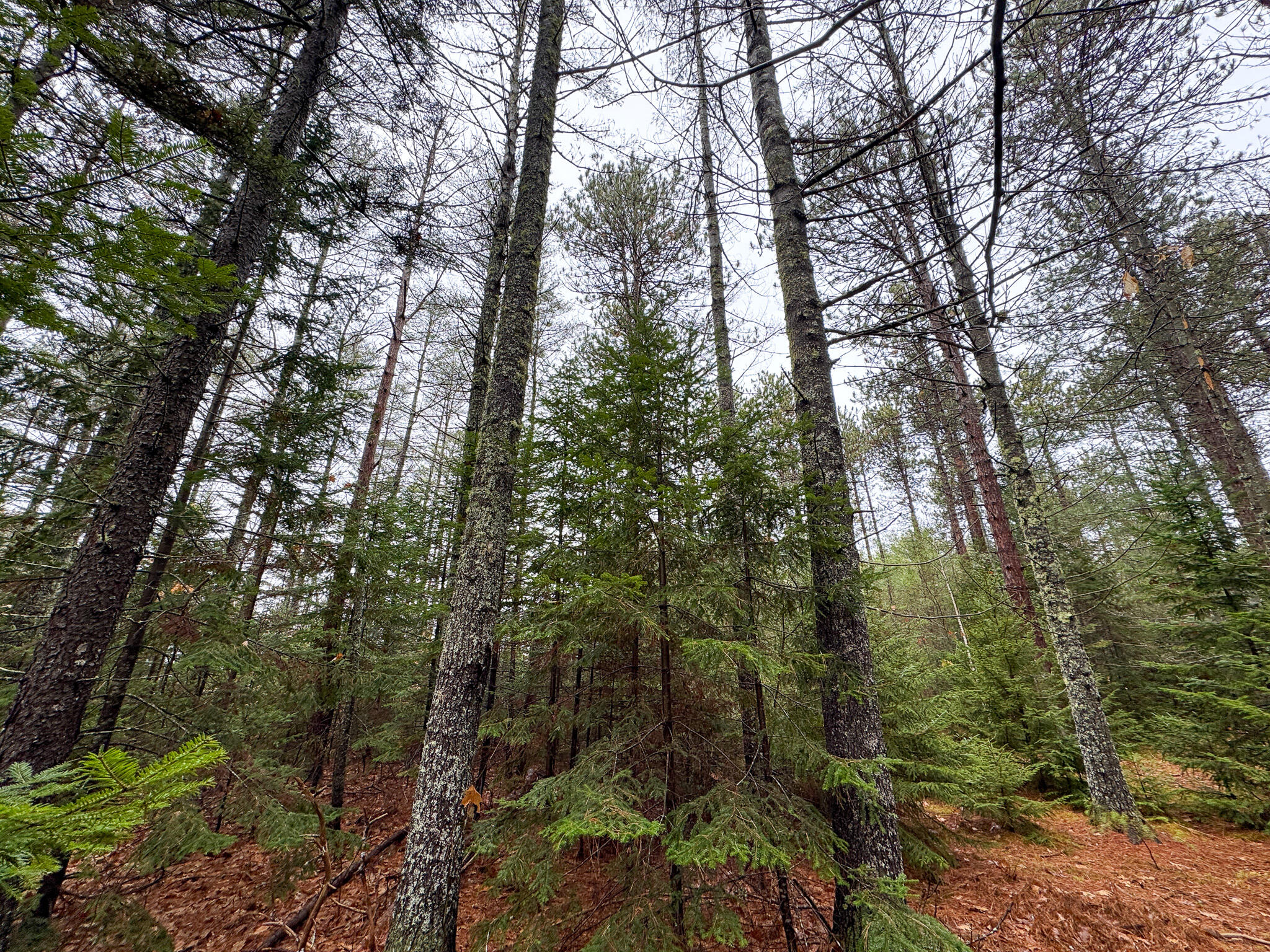 43 Fleming Road Bethel, ME 04217 - Photo 42 of 45 42