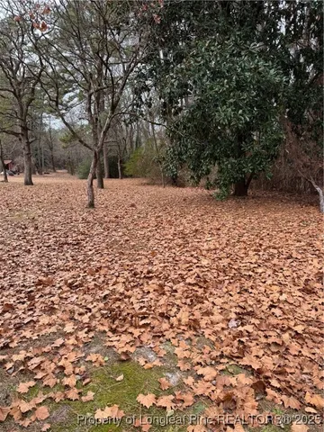 a view of outdoor space with yard
