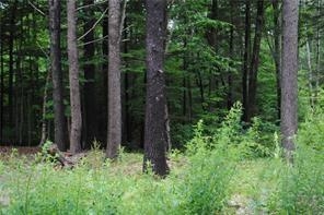 5 Lucas Farm Road York, ME 03909 - Photo 2 of 8
