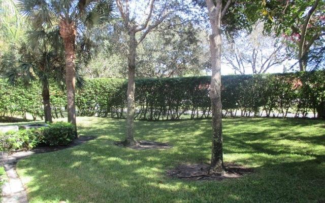 17340 Boca Club Boulevard, Unit 704 Boca Raton, FL 33487 - Photo 23 of 27 a view of a tree in a yard