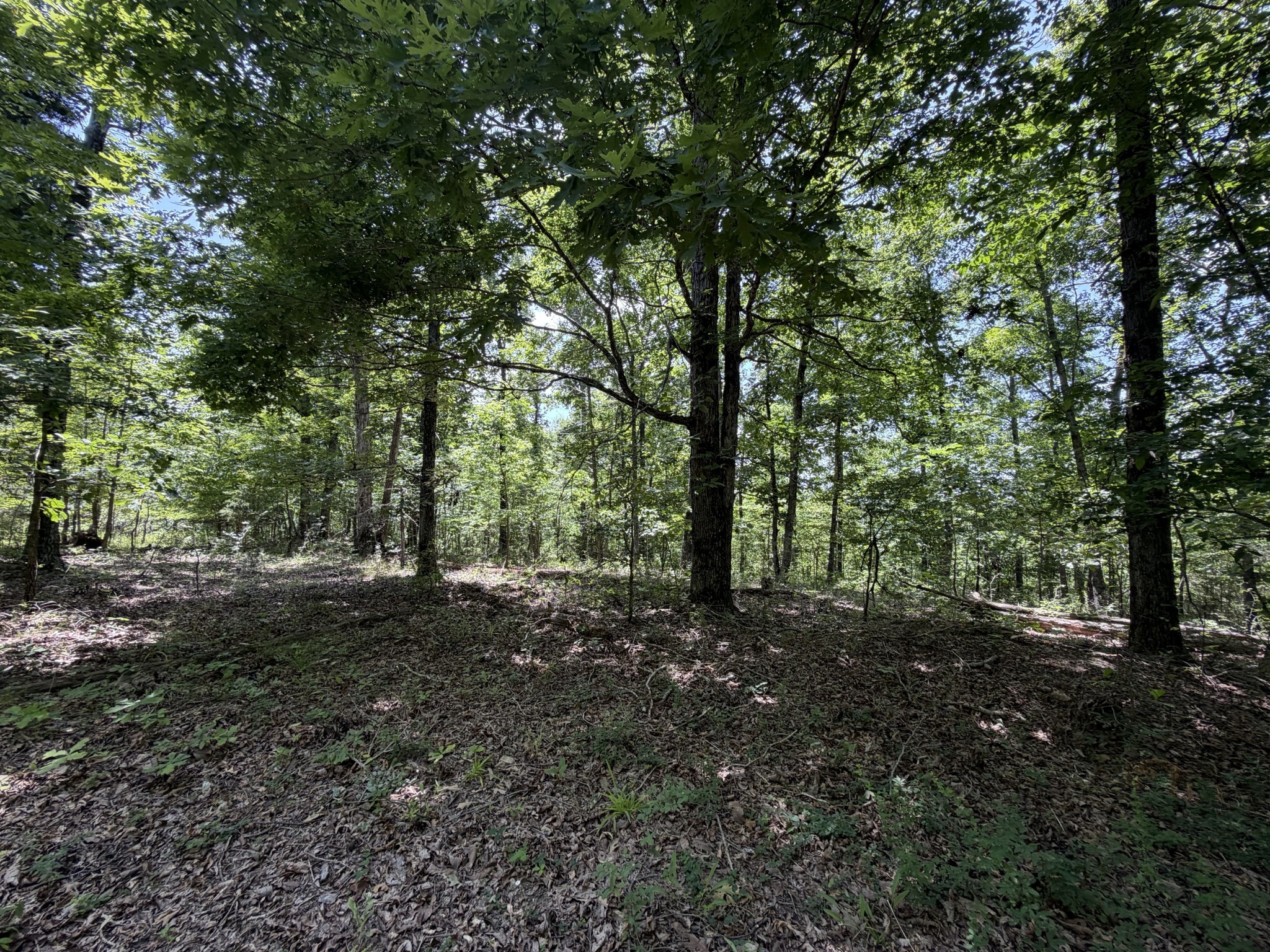 215 Bar Bee Road Hohenwald, TN 38462 - Photo 41 of 51