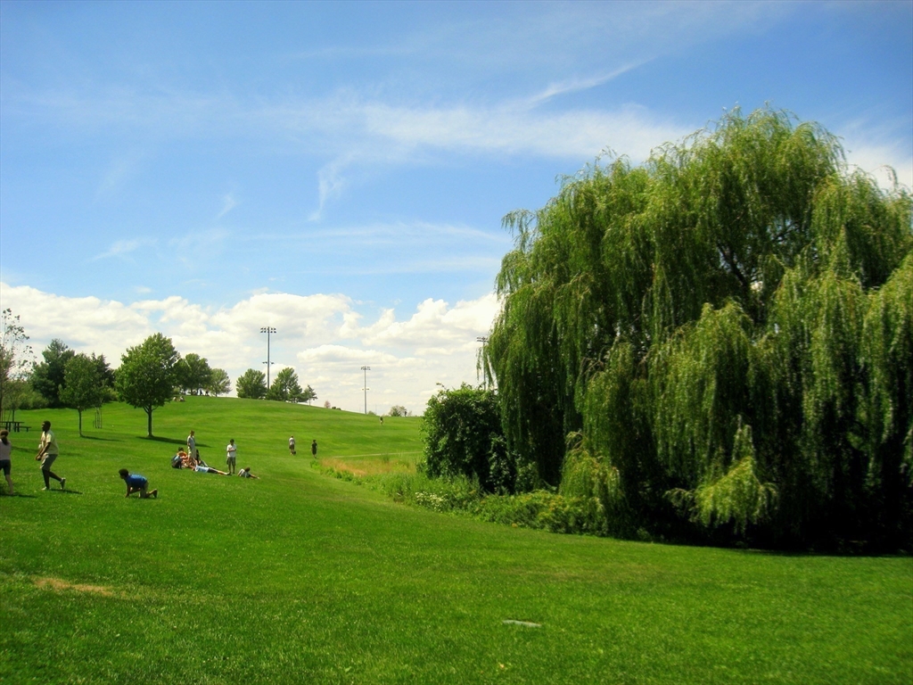 320 Rindge Avenue, Unit 303 Cambridge, MA 02140 - Photo 24 of 28