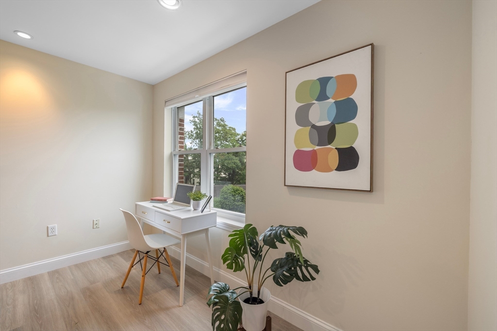 320 Rindge Avenue, Unit 303 Cambridge, MA 02140 - Photo 4 of 28 a room with furniture and a potted plant