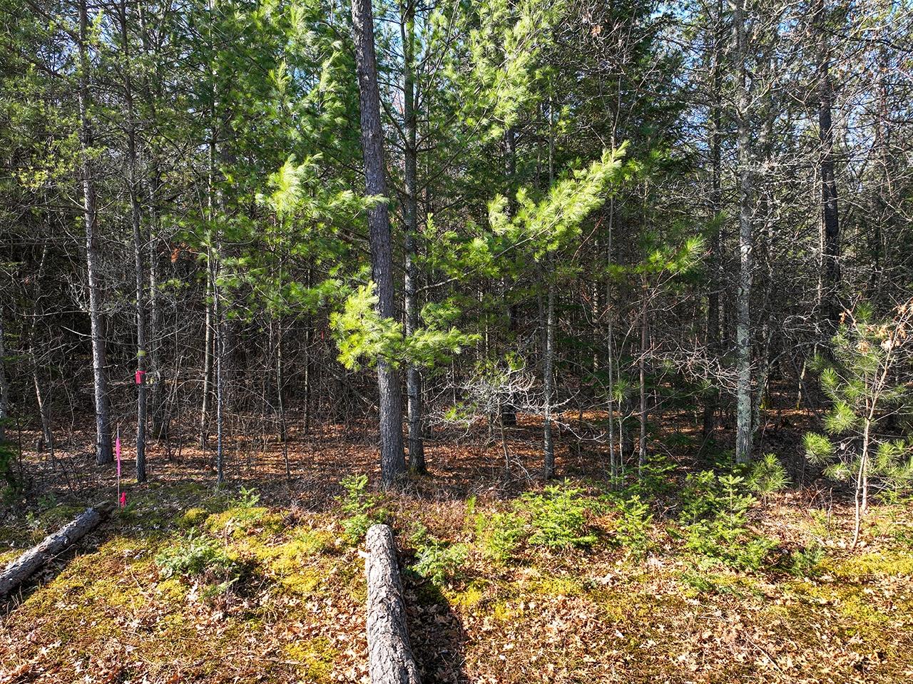 Lot 7 Ralph Lane Tomahawk, WI 54487 - Photo 7 of 13 Gallery Image 7