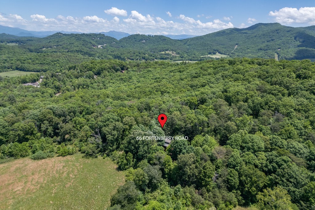 66 Fortenberry Road Young Harris, GA 30582 - Photo 54 of 55 a view of a lush green hillside and a mountain