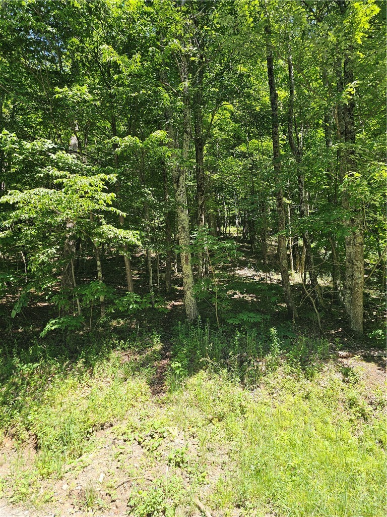 Silverleaf Road Zionville, NC 28698 - Photo 25 of 25