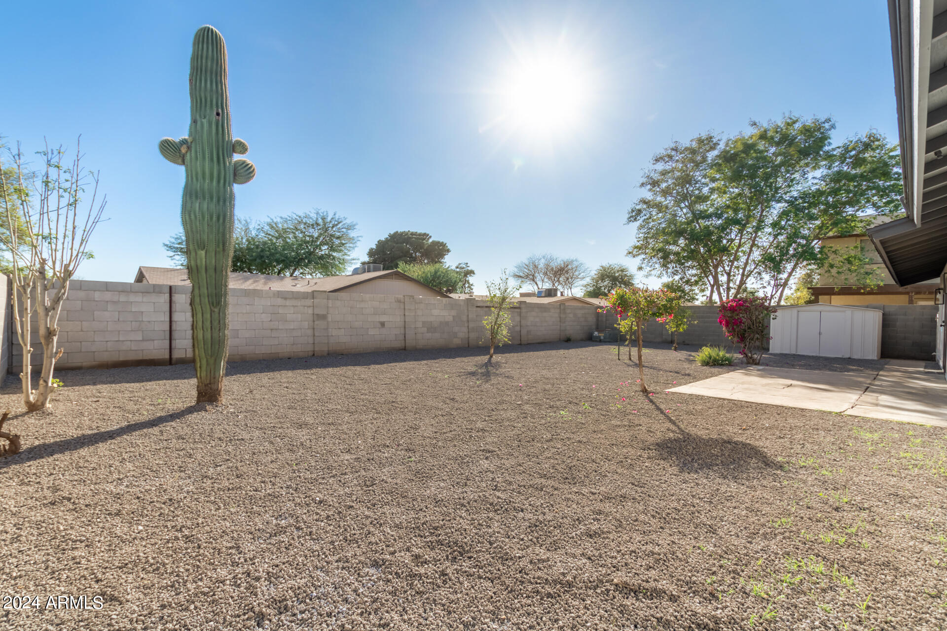 7727 West Osborn Road Phoenix, AZ 85033 - Photo 22 of 26 Fresh Landscaping