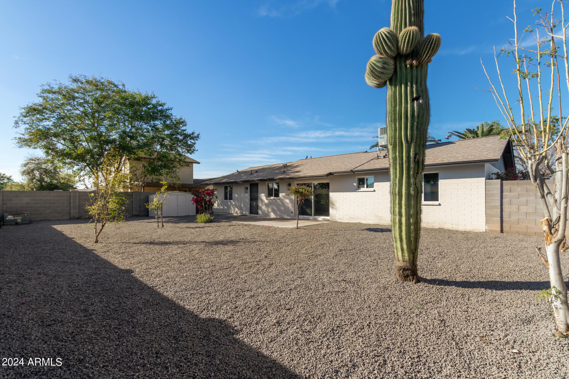 7727 West Osborn Road Phoenix, AZ 85033 - Photo 23 of 26 Mature Saguaro