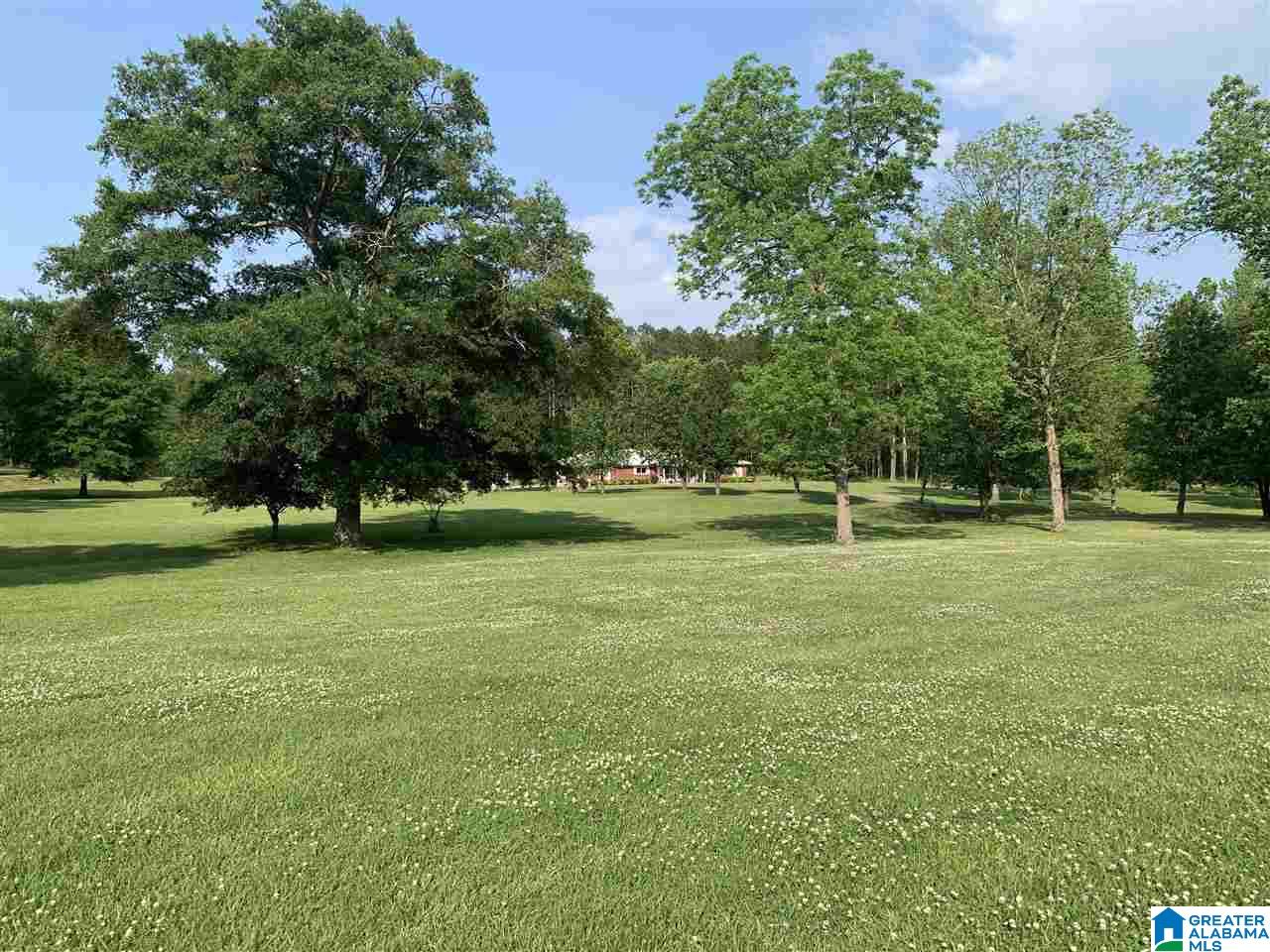 277 Gnatville Road Piedmont, AL 36272 - Photo 49 of 50