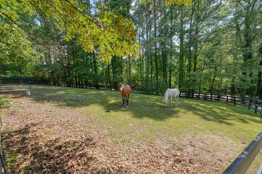 1513 Old Jones Road Alpharetta, GA 30004 - Photo 26 of 62 a garden with trees