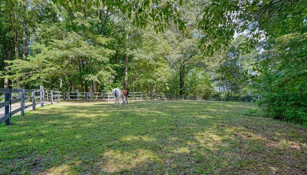 1513 Old Jones Road Alpharetta, GA 30004 - Photo 56 of 62 a view of a park with large trees