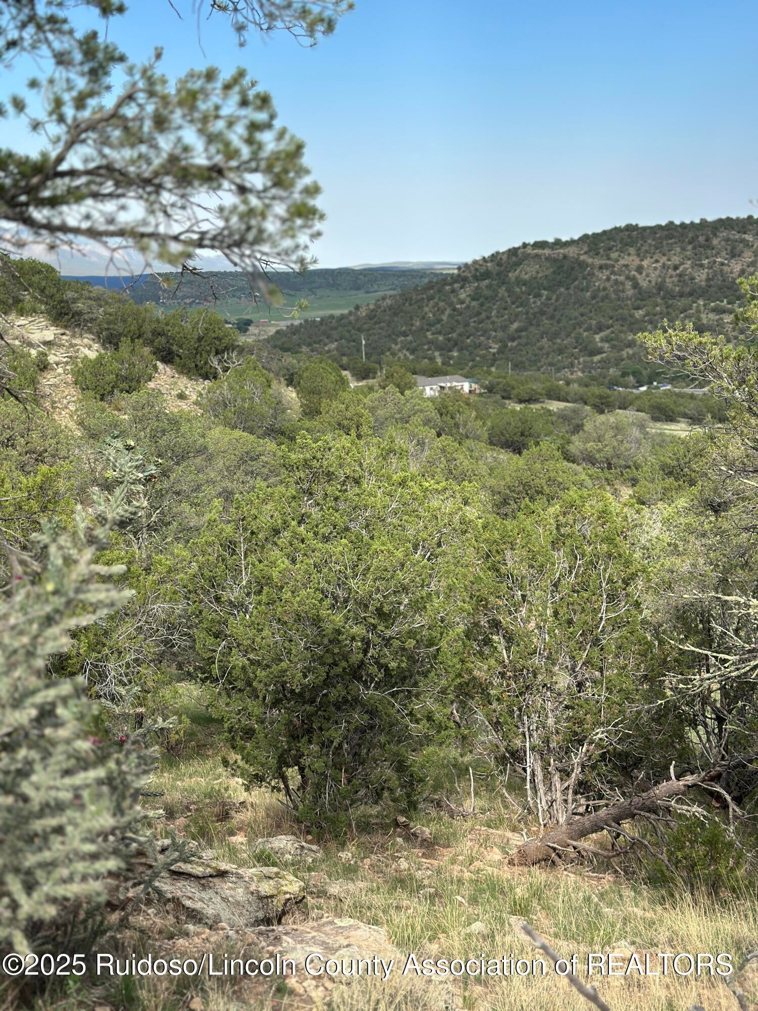 170 West Grand View Road Capitan, NM 88316 - Photo 16 of 20 IMG_7537