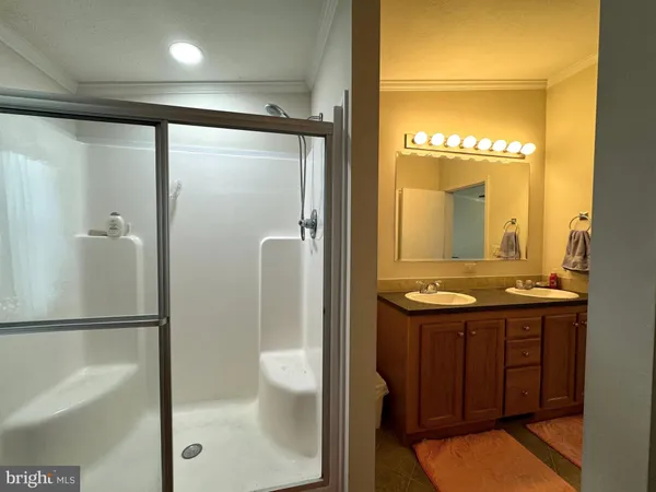 a bathroom with a shower a sink and a mirror