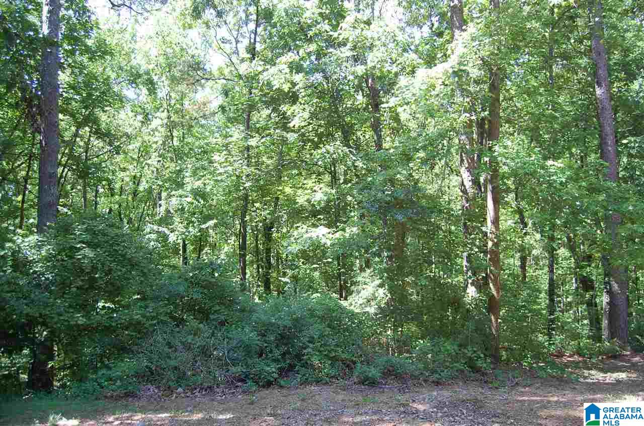 288 Kensington Lane Alabaster, AL 35007 - Photo 48 of 50