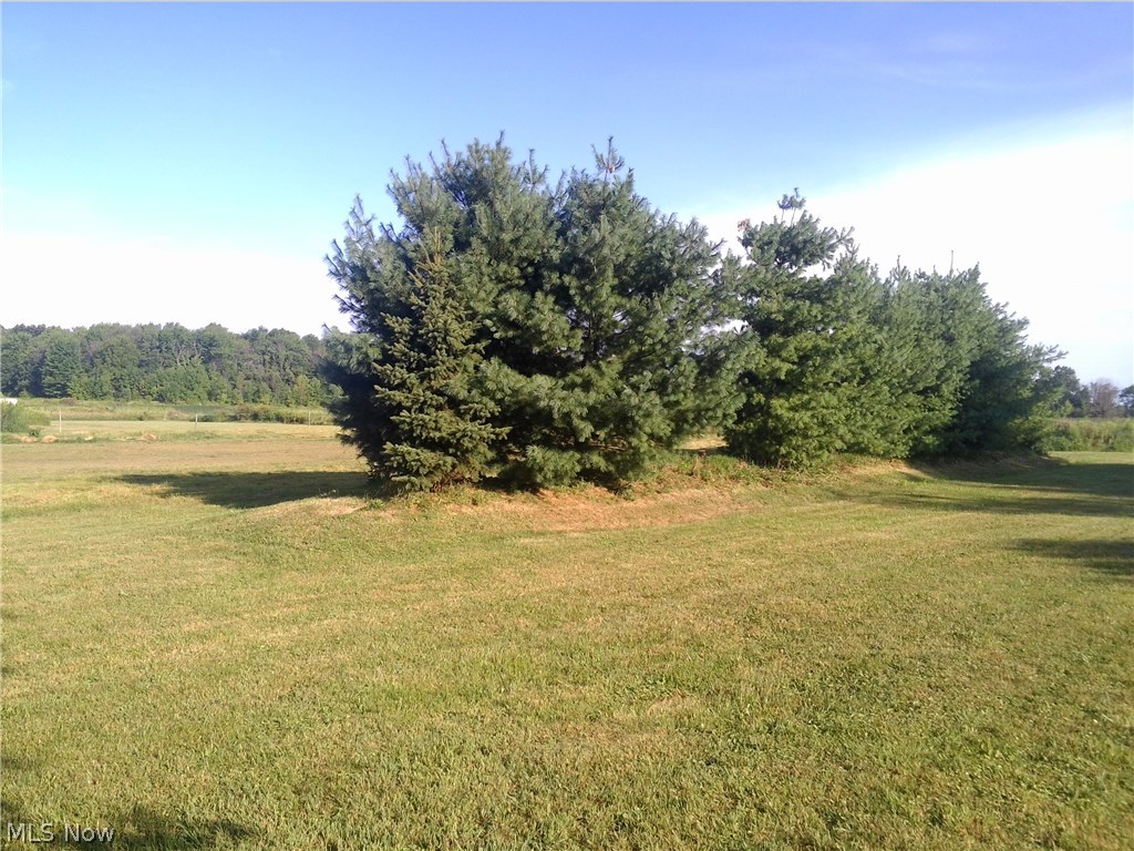 12145 Williams Road Homerville, OH 44235 - Photo 11 of 20 Gallery Image 11