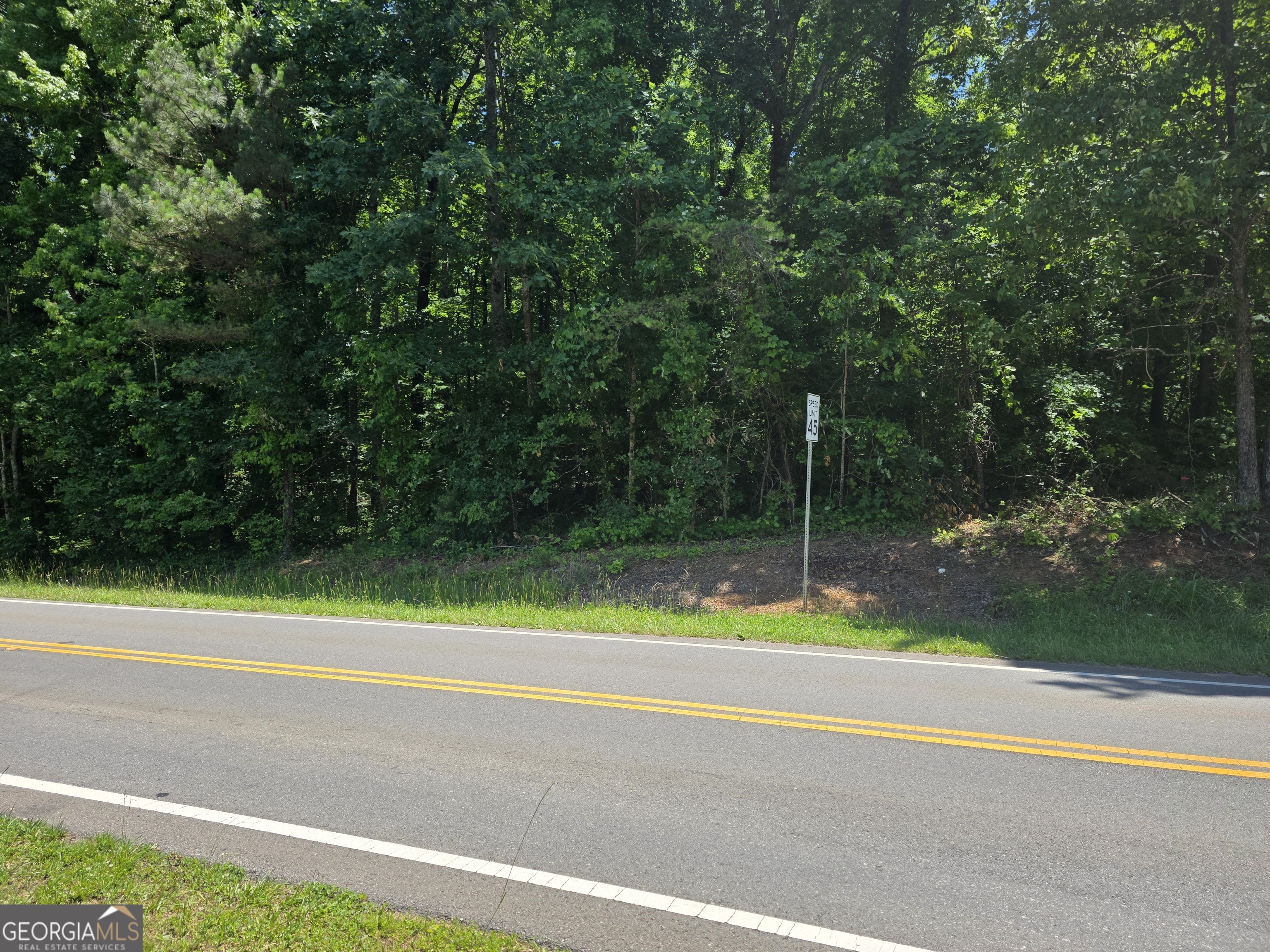 0 Cowart Mountain Tract 1 Road Jasper, GA 30143 - Photo 3 of 13
