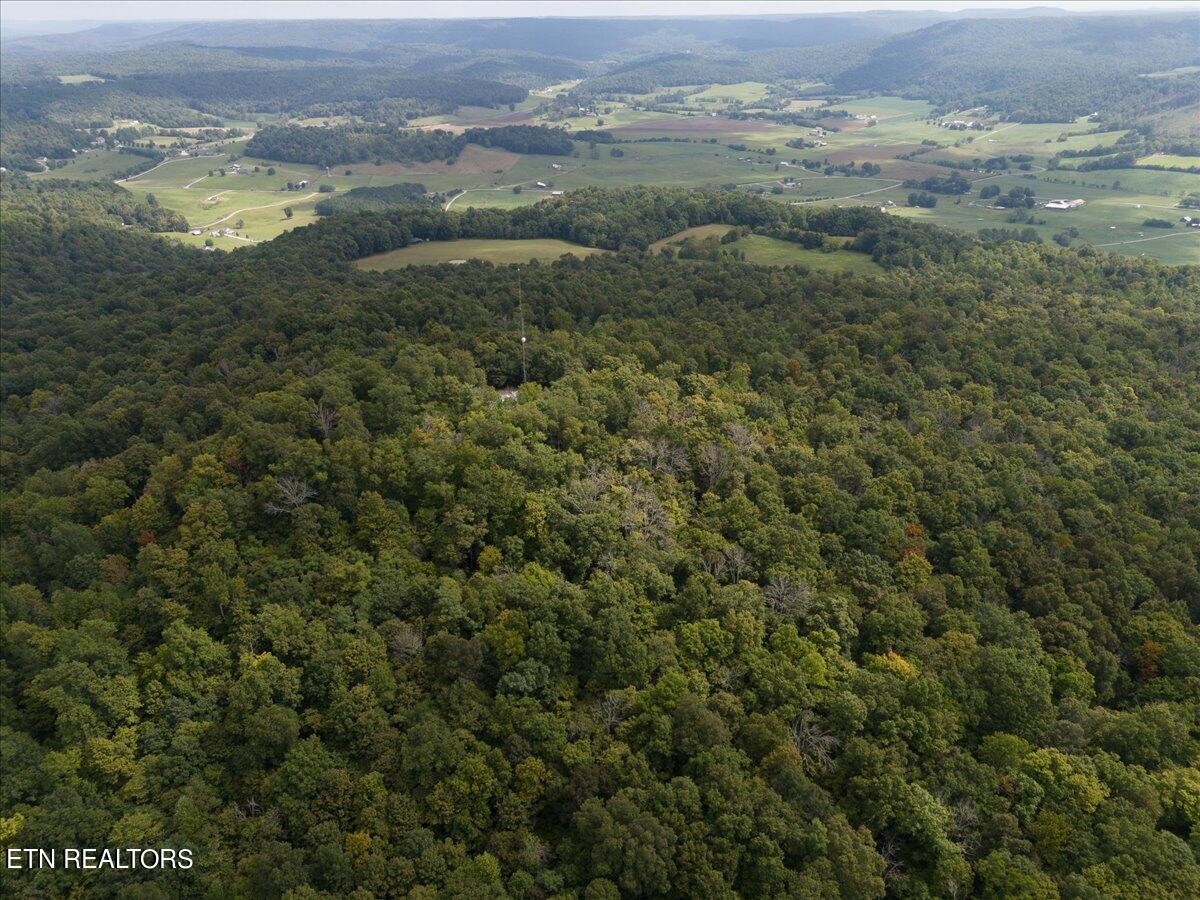 0 Fire Tower 23.2 Ac Road Sparta, TN 38583 - Photo 12 of 18 Gallery Image 12