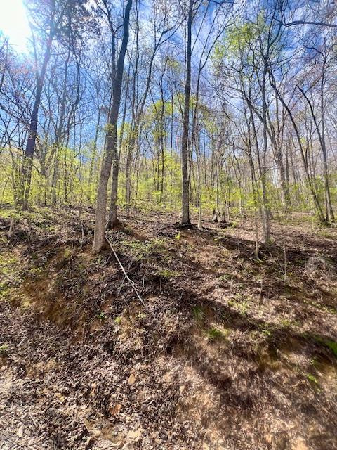 0 Gunter Hollow Road Almond, NC 28702 - Photo 1 of 7 Main View