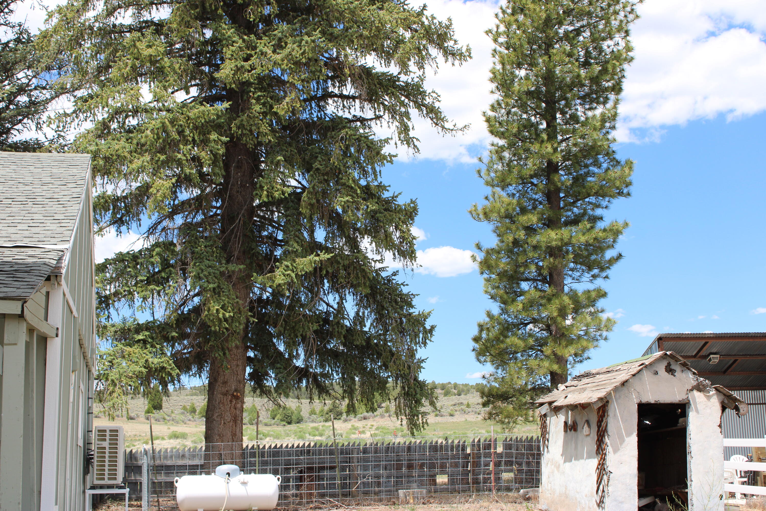 76 West Center Street Hatch, UT 84735 - Photo 23 of 25 View from Backyard
