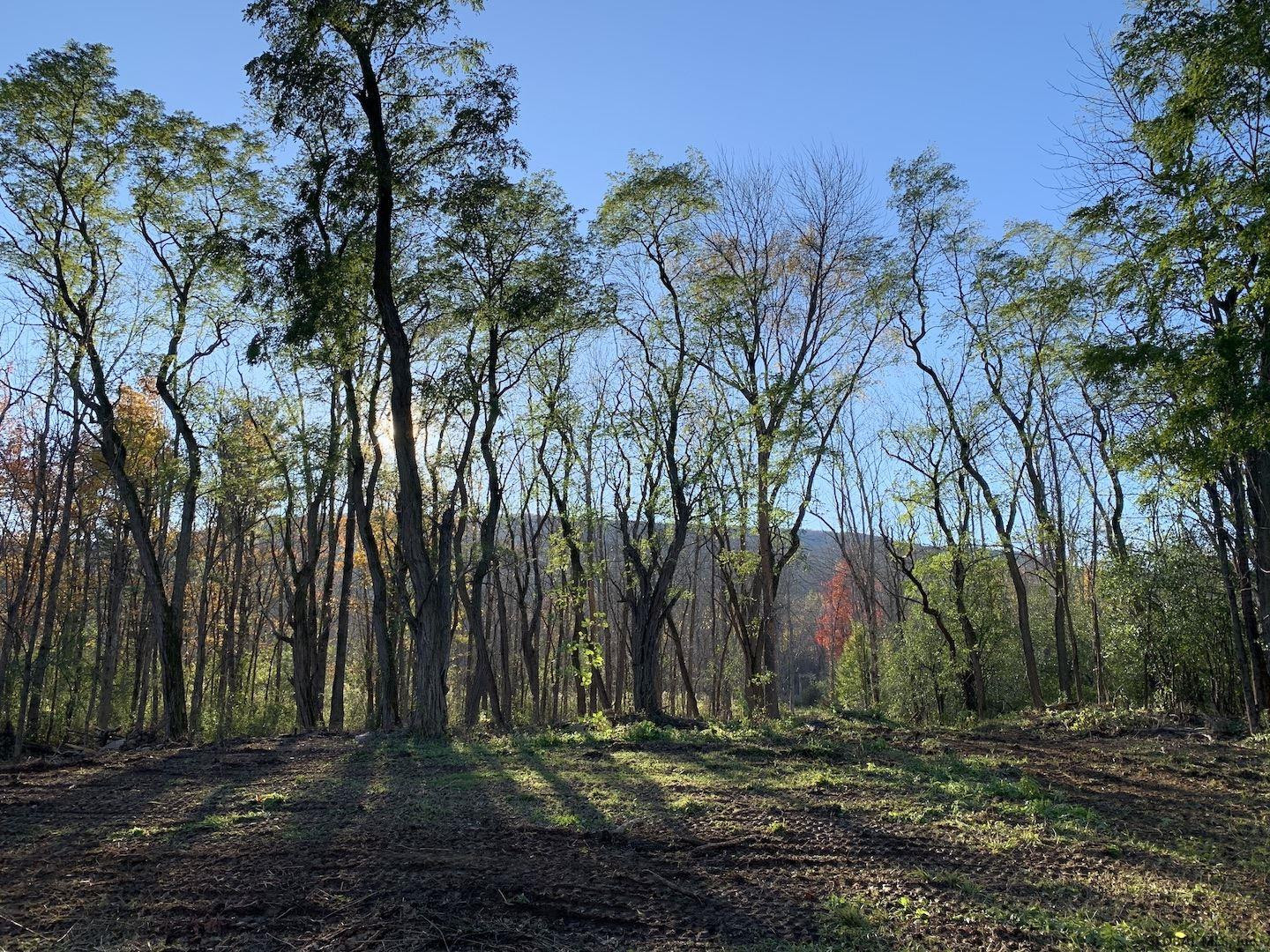 5707 Gardner Road Guilderland, NY 12009 - Photo 1 of 8 Photo 1