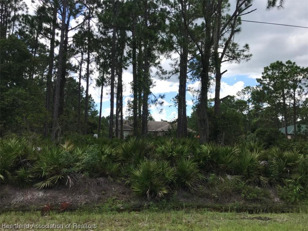5851 Wolf Road Sebring, FL 33875 - Photo 3 of 6 Gallery Image 3