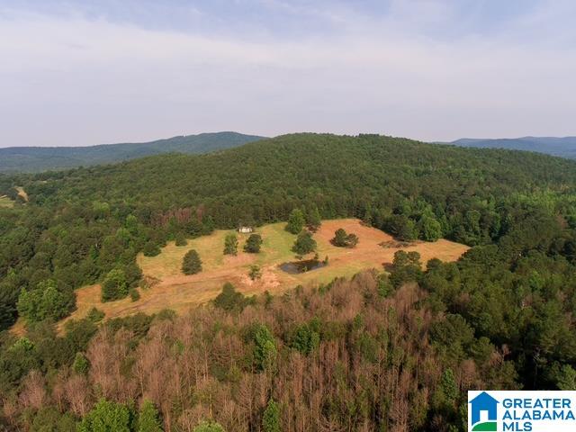 0 Stone Ridge Trail, Unit 50 87 Anniston, AL 36207 - Photo 13 of 15