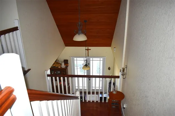 a view of a tree with a tree