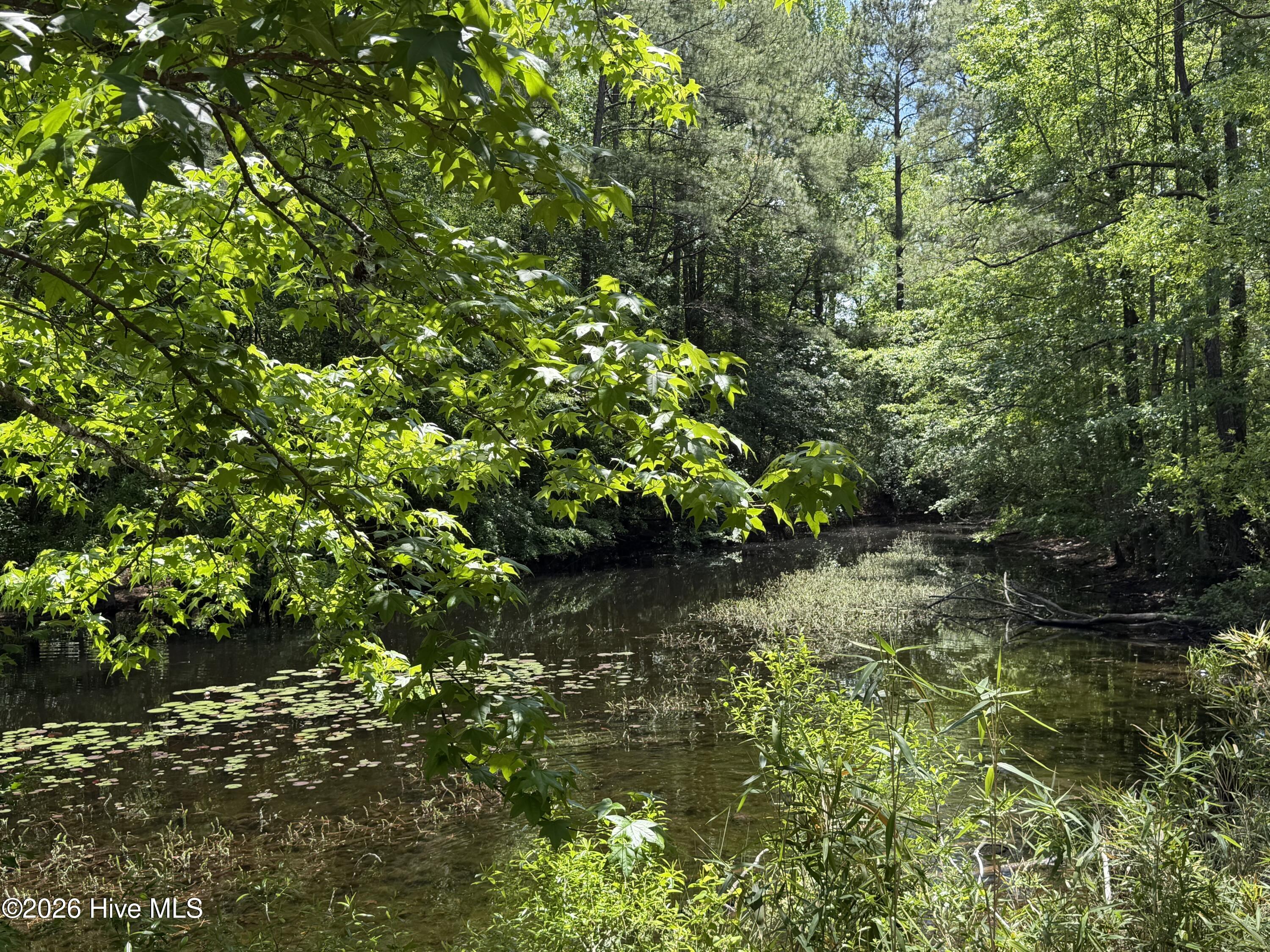979 Aiken Road Vass, NC 28394 - Photo 6 of 26 IMG_2272