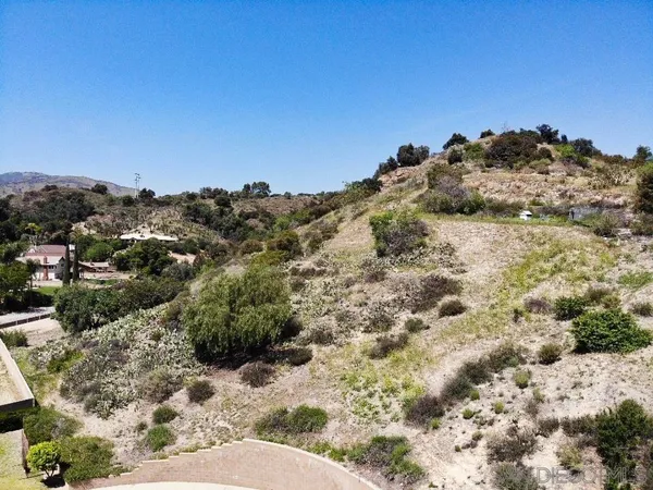 a view of a dry yard