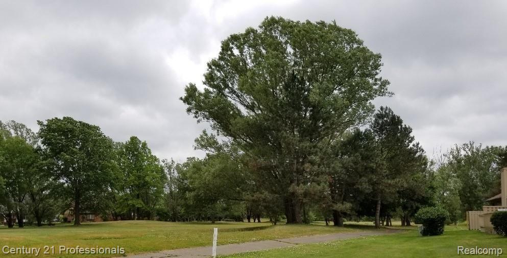 662 Tennyson, Unit 25 Rochester, MI 48307 - Photo 16 of 16 Gorgeous view from Deck.jpg