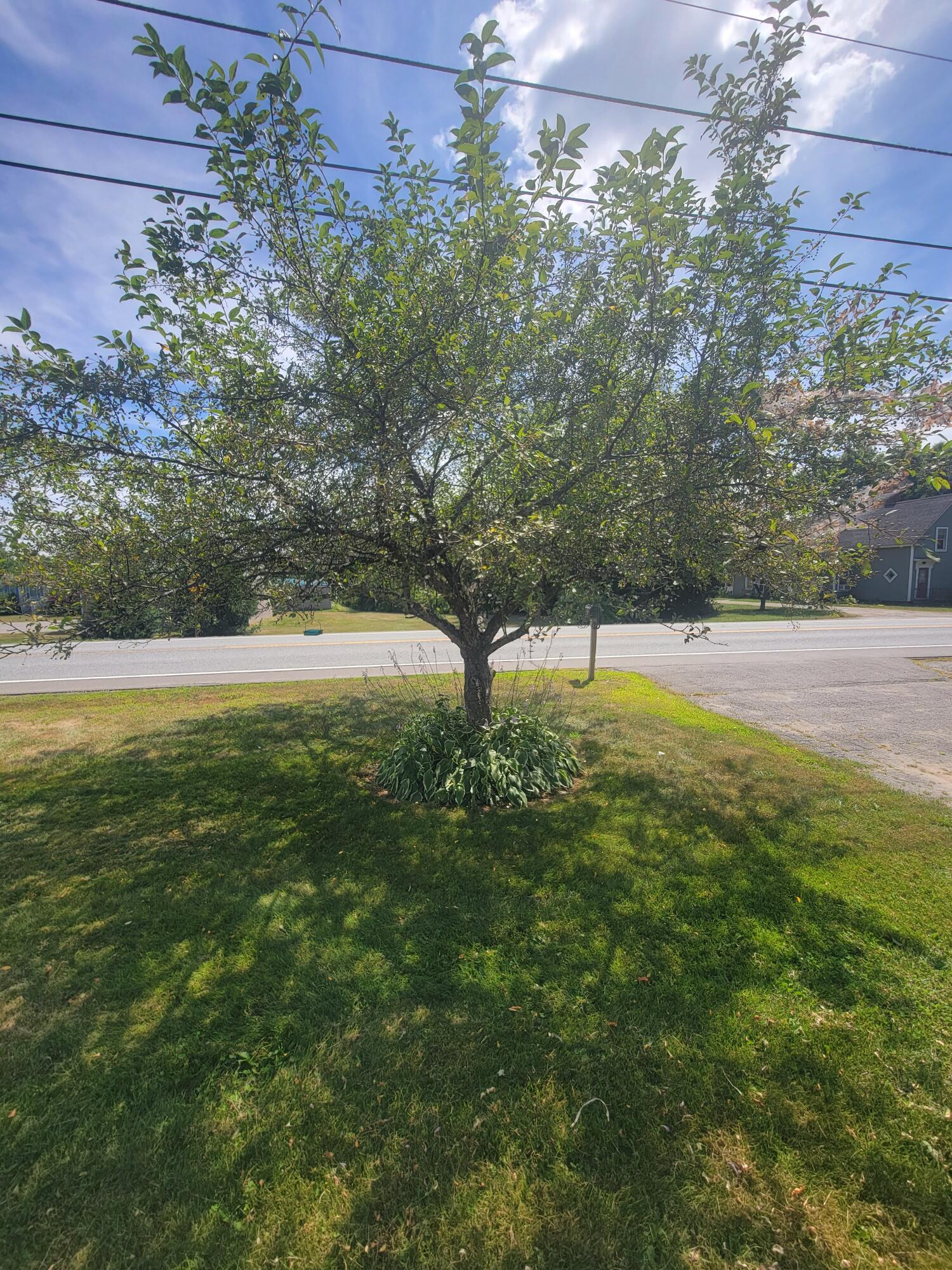 262 Main Road Eddington, ME 04428 - Photo 18 of 18 20250807_134348