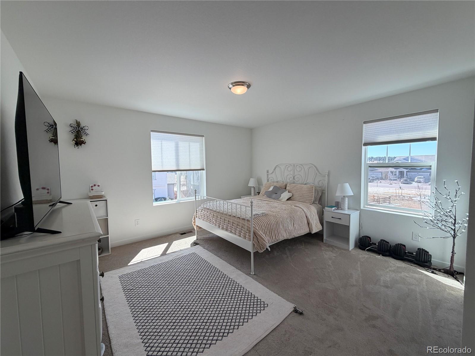 755 Yankee Boy Loop Elizabeth, CO 80107 - Photo 19 of 31 a bedroom with a bed and a flat screen tv