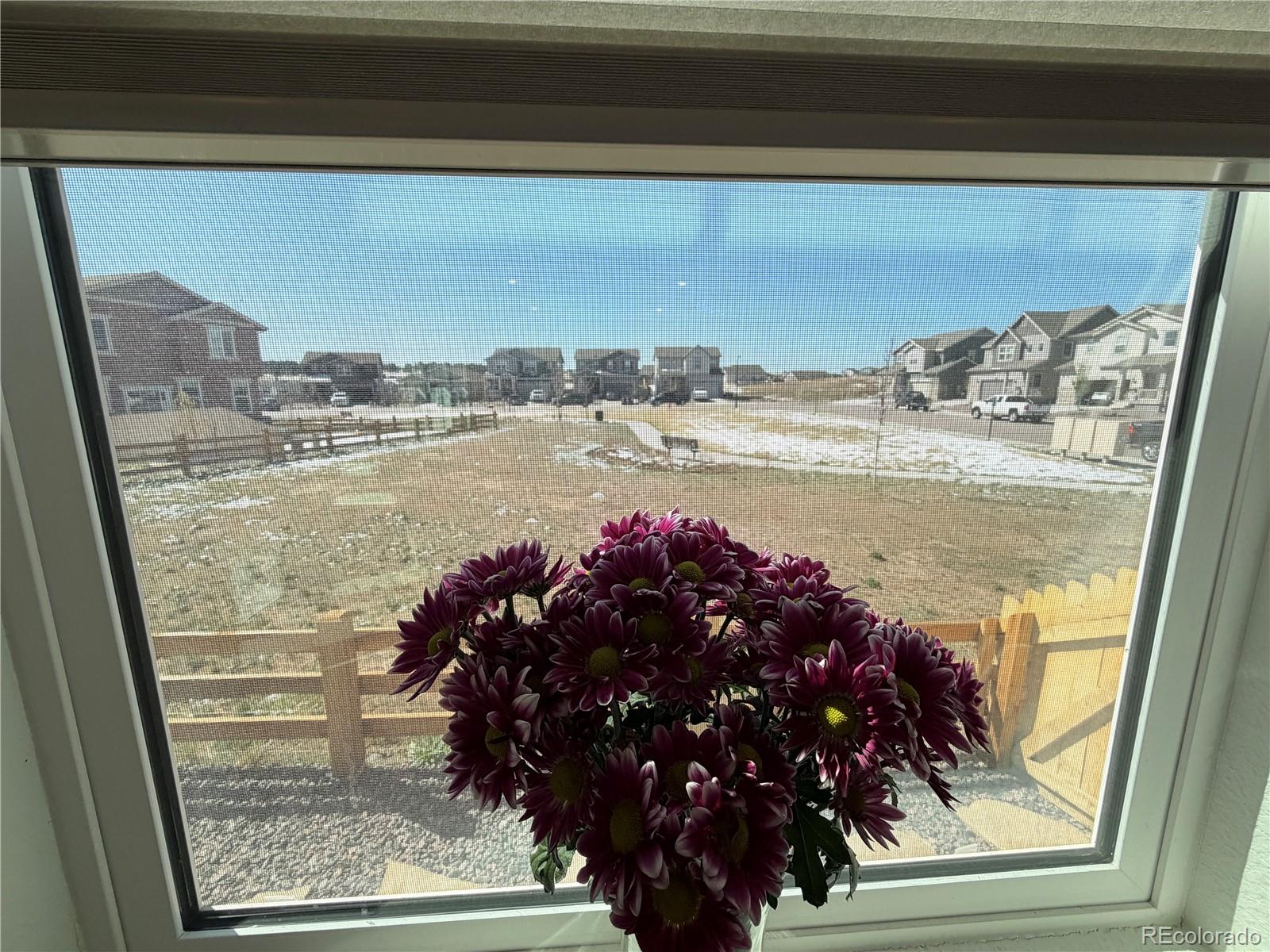 755 Yankee Boy Loop Elizabeth, CO 80107 - Photo 6 of 31 a view of ocean from a window