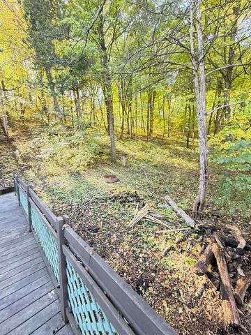 a view of pathway with wooden floor