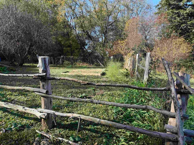 a view of a yard with large trees