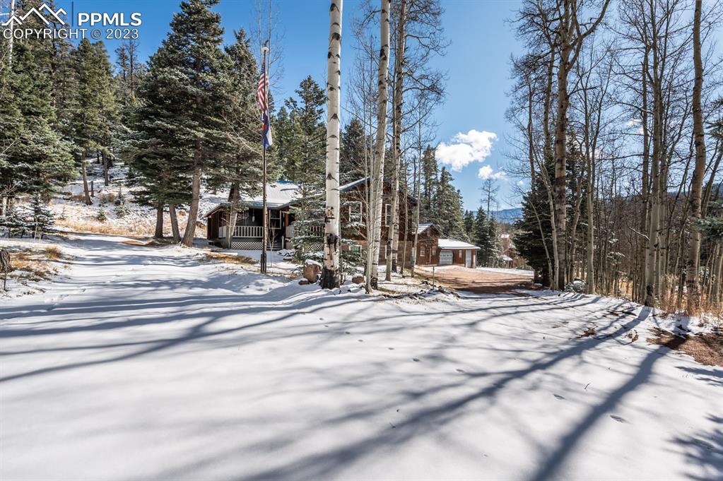 38 Wetmore Drive Rye, CO 81069 - Photo 3 of 49