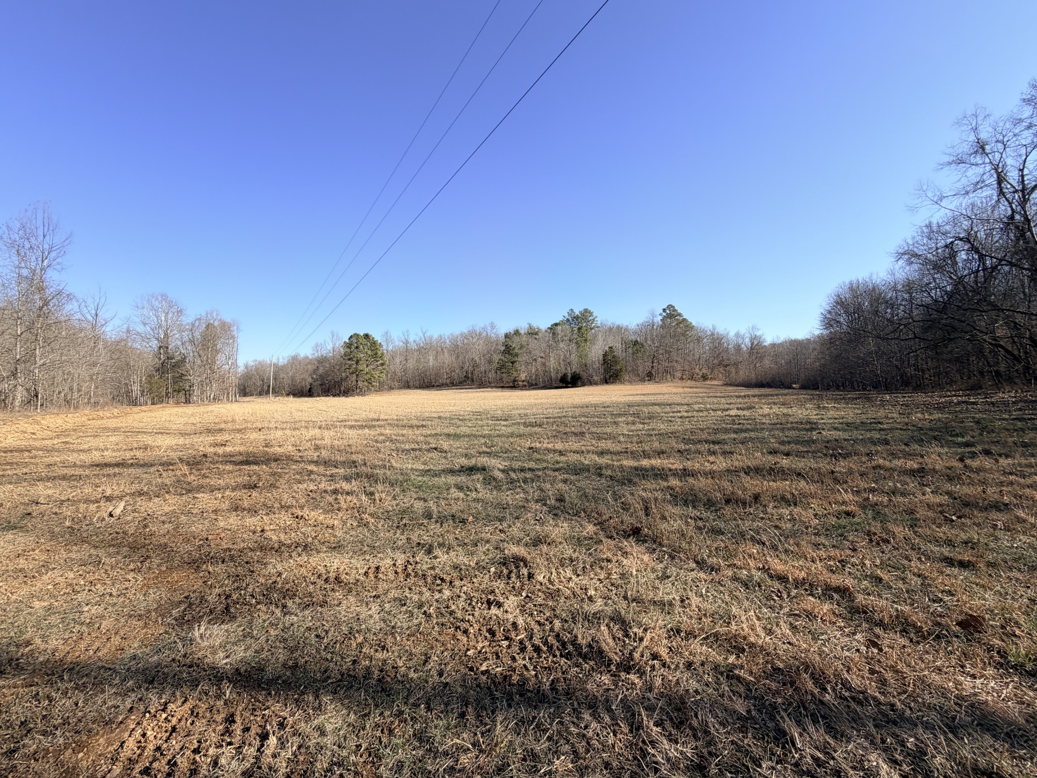 12 John Ross Hollow Road Erin, TN 37061 - Photo 13 of 37 a view of a field with an ocean view