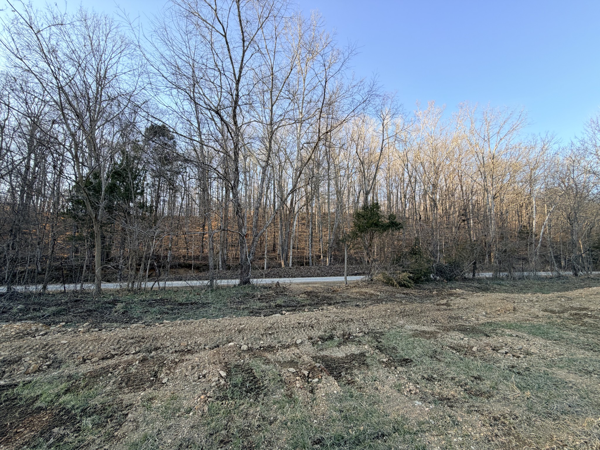 12 John Ross Hollow Road Erin, TN 37061 - Photo 18 of 37 a view of outdoor space with trees