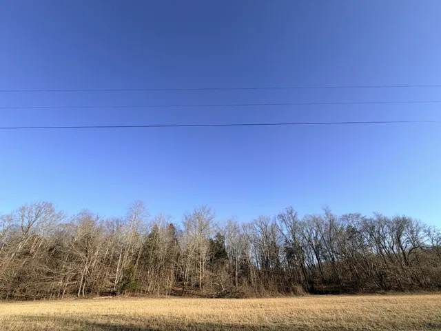 a view of yard and mountain view