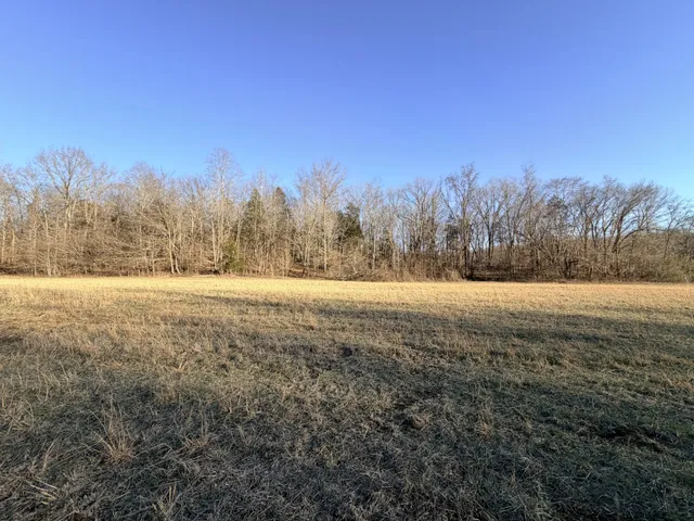 a view of backyard space
