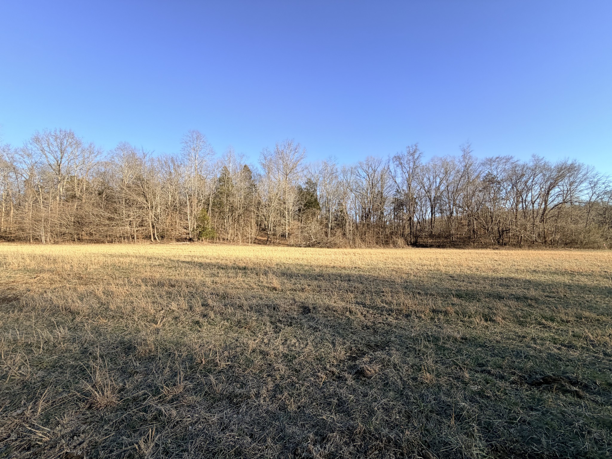 12 John Ross Hollow Road Erin, TN 37061 - Photo 20 of 37 a view of yard and mountain view