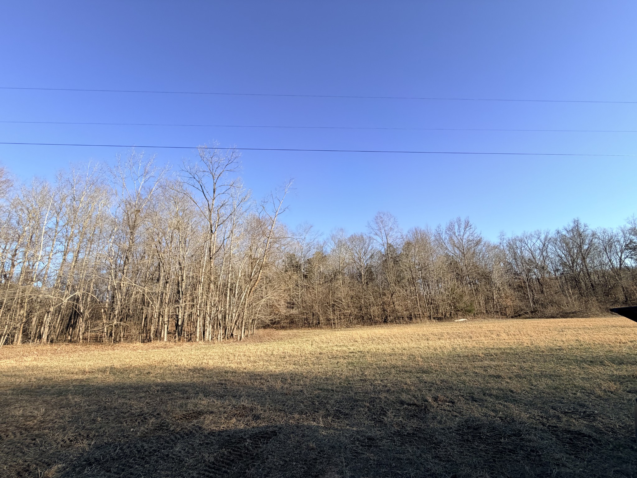 12 John Ross Hollow Road Erin, TN 37061 - Photo 22 of 37 a view of open space with mountain in the background