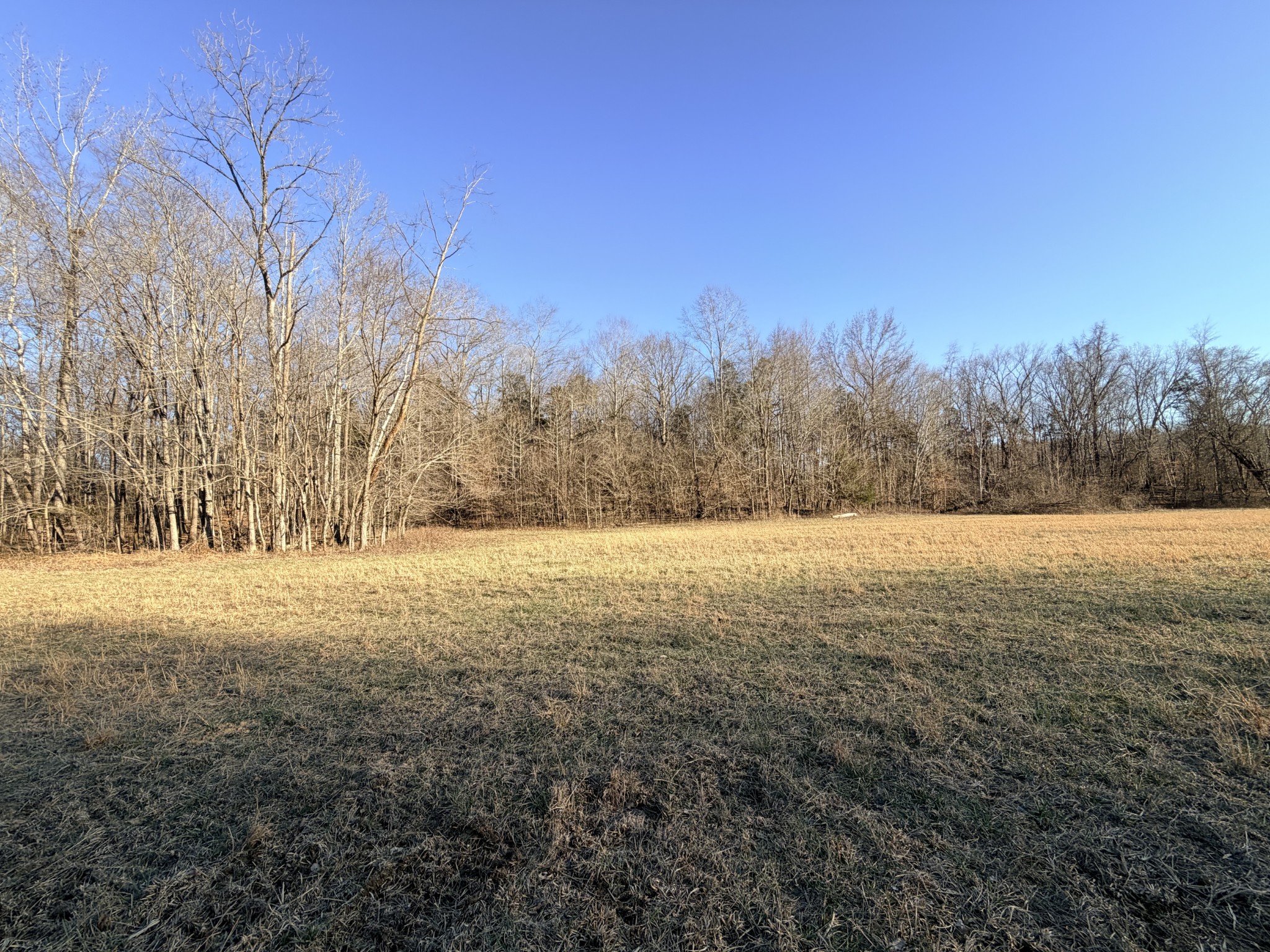 12 John Ross Hollow Road Erin, TN 37061 - Photo 23 of 37 a view of yard and mountain view