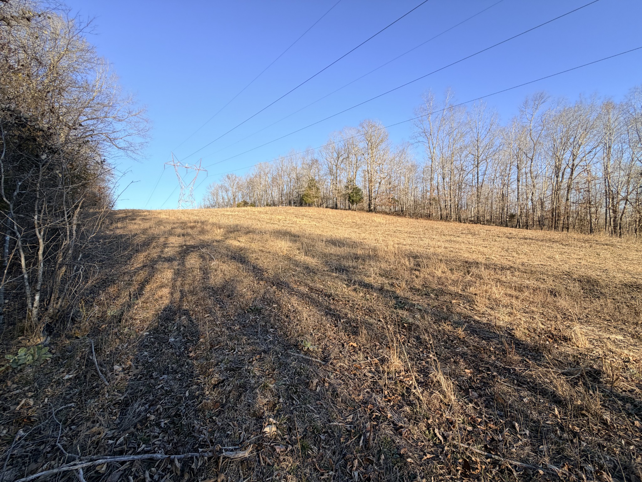 12 John Ross Hollow Road Erin, TN 37061 - Photo 24 of 37 a view of dirt yard and mountain view