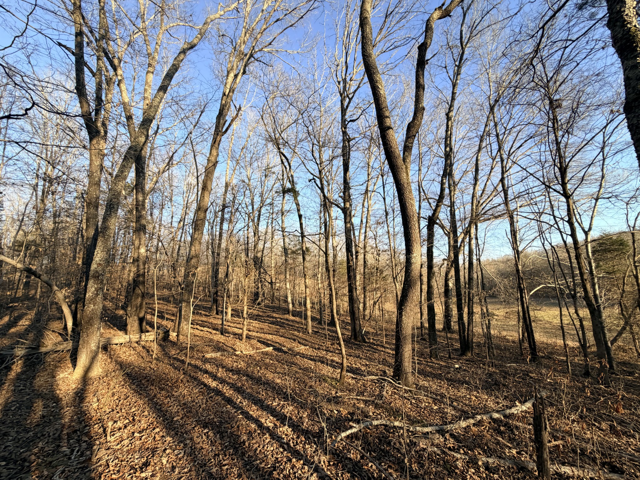 12 John Ross Hollow Road Erin, TN 37061 - Photo 26 of 37