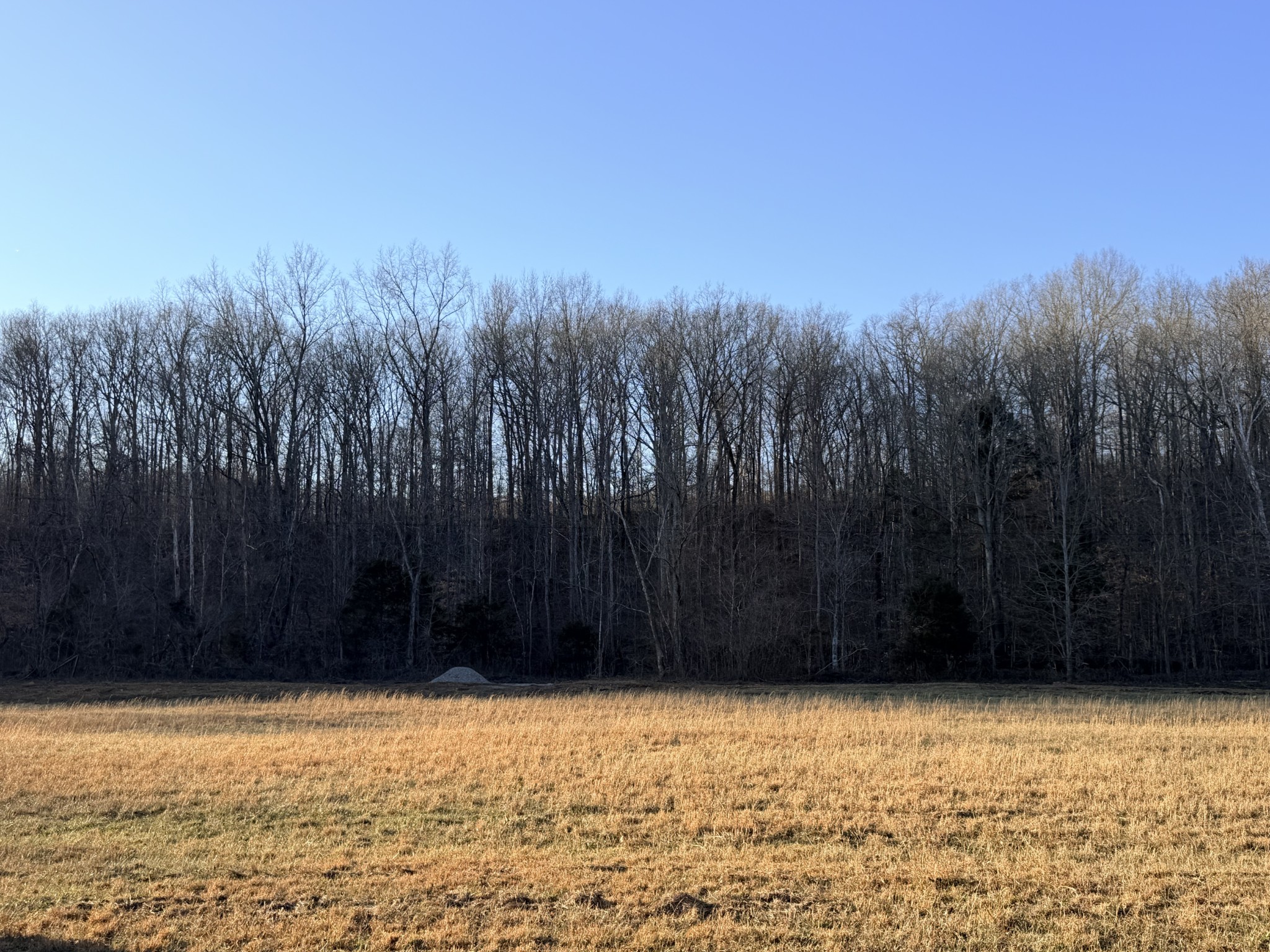 12 John Ross Hollow Road Erin, TN 37061 - Photo 30 of 37 a view of wooden fence