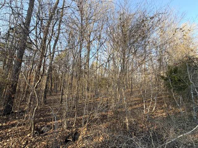 $68,500 | 12 John Ross Hollow Road, Erin, TN 37061