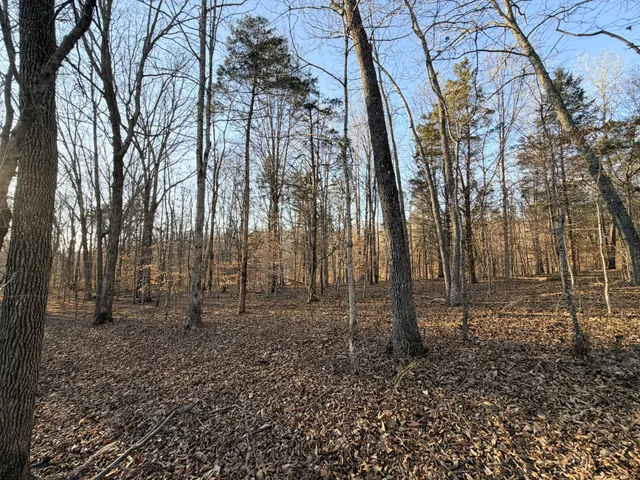 $68,500 | 12 John Ross Hollow Road, Erin, TN 37061